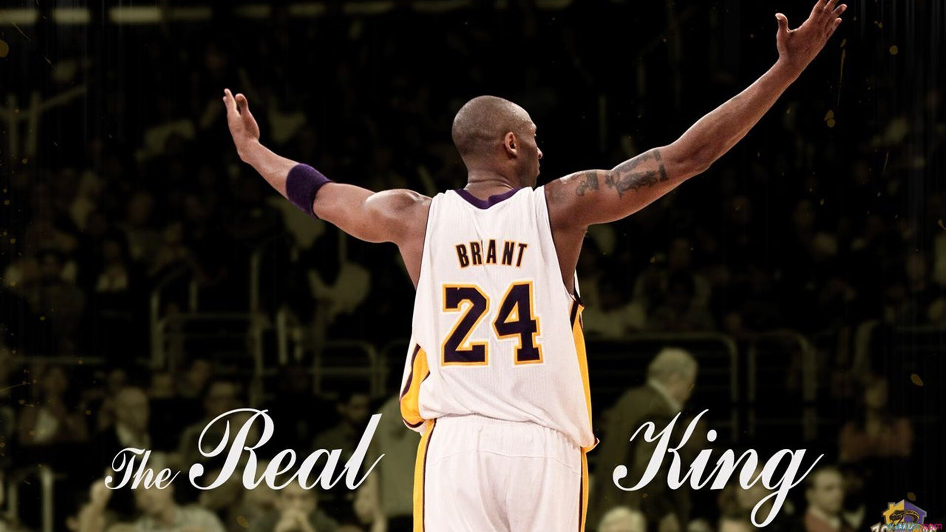 VR电竞新玩法引领未来，沉浸式体验震撼来袭，电竞主机vr游戏平台